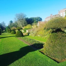 Garden Design | Hampshire |Avenue Landscapes